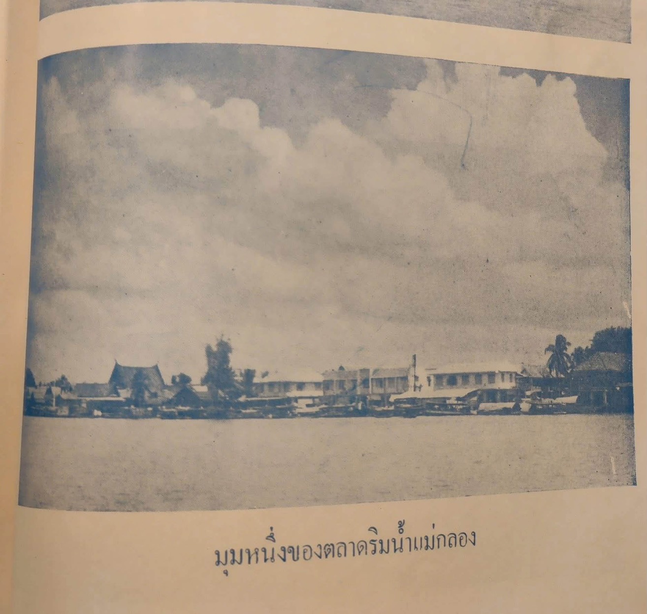 สุธา คาเฟ่ ภาพที่ 5